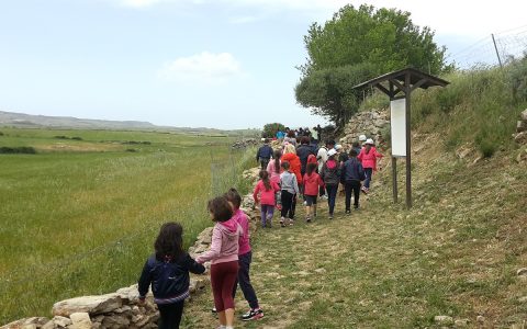 Visit to the sacred well of Coni